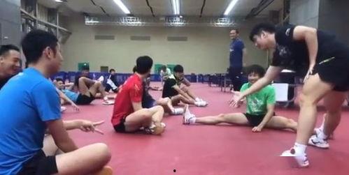 襄阳成人摔跤比赛视频,激情四溢的角力盛宴