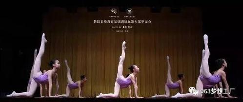 回民成人舞蹈视频大全,视频大全中的民族韵律与风情展现