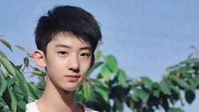 成人完整版组合视频,成人完整版组合视频精华概览