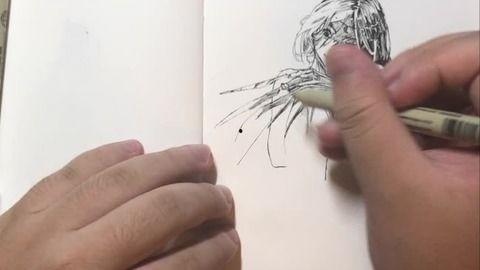 成人绘画过程视频,揭秘成人绘画学习之旅
