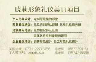 成人古筝教学流程视频,成人古筝学习全流程解析