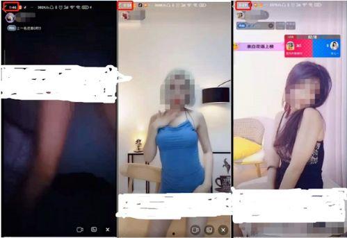 成人发胖的视频大全,视频大全带你走进肥胖世界
