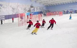 室内成人滑雪视频教程,轻松掌握滑雪技巧