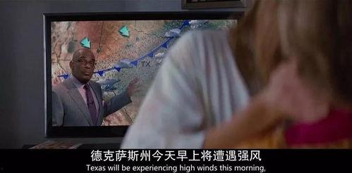 s8sP成人精品视频,s8sP成人精品视频深度解析