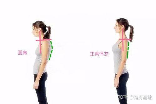 成人背带纠正驼背视频讲解,成人背带使用教程详解