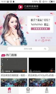 石榴视频app成人版,石榴视频app成人版深度解析