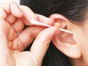 成人应该掏耳屎吗视频