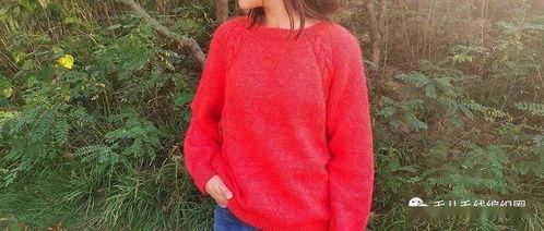 成人提花毛衣视频教学,轻松学会成人提花毛衣编织技巧