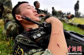 成人军人魔鬼训练视频大全,揭秘成人军人魔鬼训练全纪录
